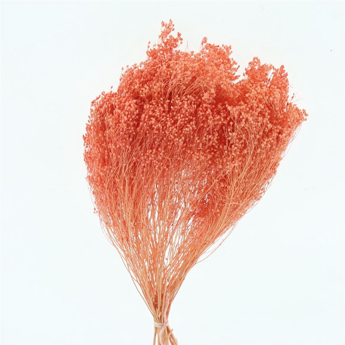 <h4>Dried Broom Bloom Salmon</h4>
