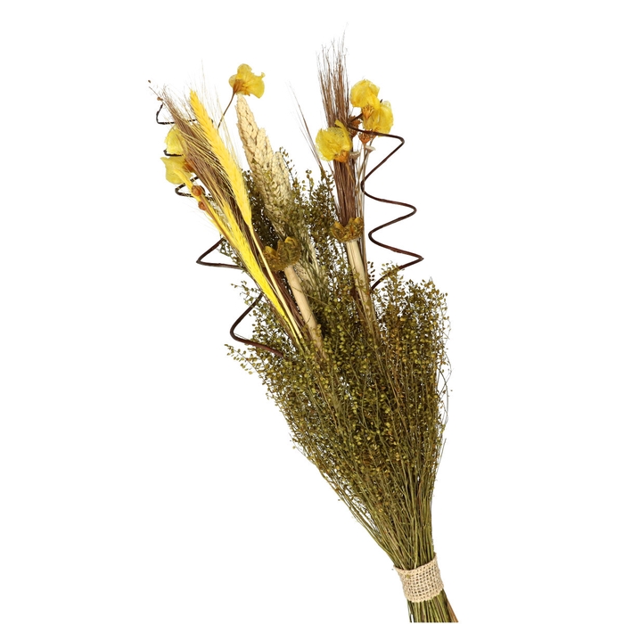 <h4>Dried flowers Bouquet luxe 50cm</h4>