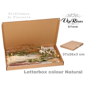 DRIED LETTERBOX NATUREL
