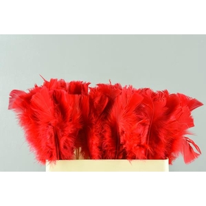 Stick Feather Red 14cm