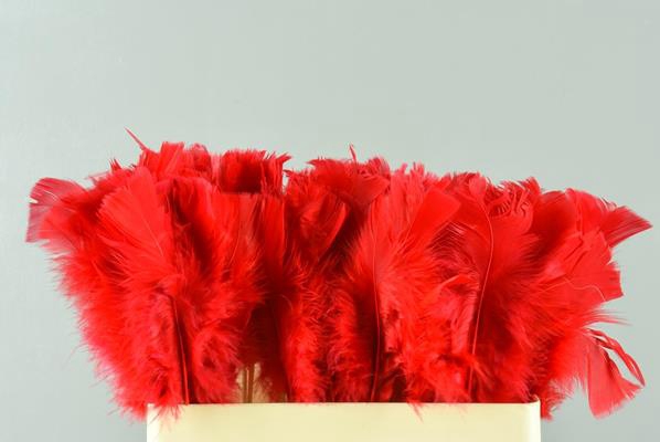 <h4>Stick Feather Red 14cm</h4>