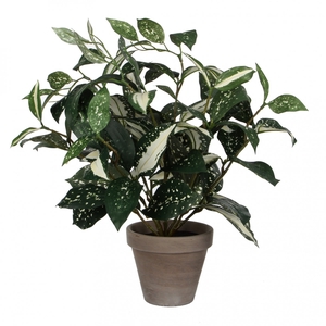 Artificial plants Pot Cordyline d11/25*35cm