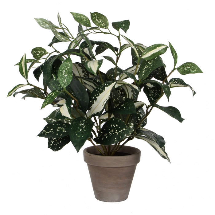 Artificial plants Pot Cordyline d11/25*35cm