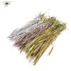Triticale per bunch Mixed colours Wedding