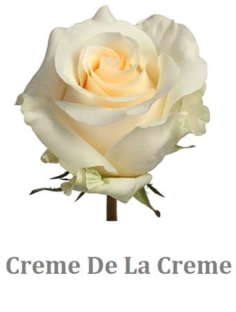 <h4>R Gr Creme De La Creme</h4>