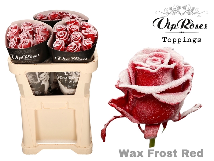 R GR WAX FROST RED x 25