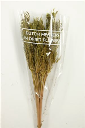<h4>Dried Umbr. Sedge Sm. Leaf Green Bunch</h4>