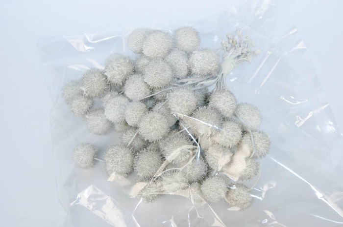 Small ball per bunch in poly white in black box