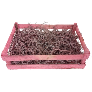 Bonsai branches in box Frosted Pink