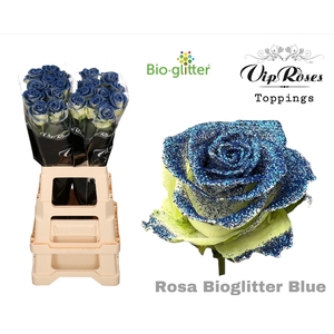 Rosa la paint glitter blue (R64)