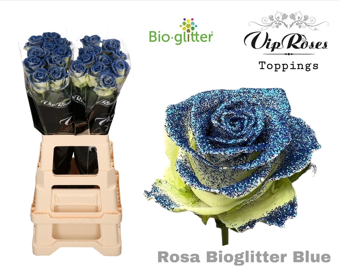 <h4>Rosa la paint glitter blue (R64)</h4>