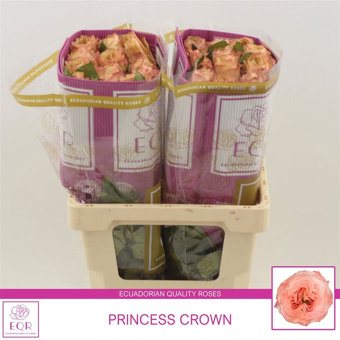 <h4>Rosa gr Princess Crown</h4>