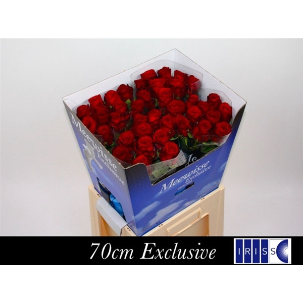 <h4>Red Naomi! Exclusive 70cm</h4>