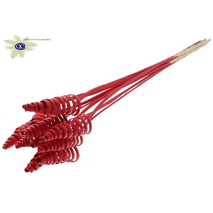<h4>Cane Cone on stem Covered Red</h4>