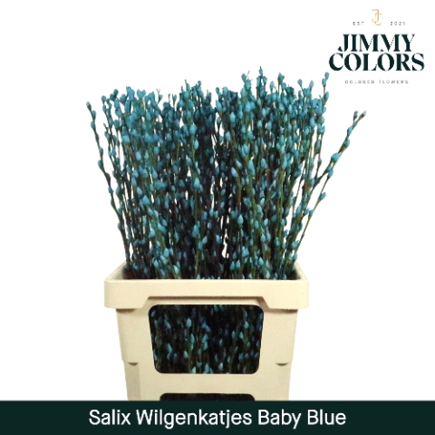<h4>Salix Katjes L70 Baby blauw</h4>