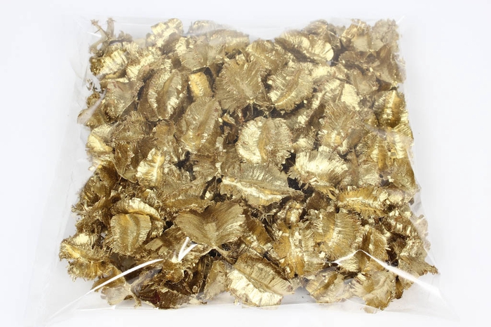 <h4>Arjun large 250gr in poly gold</h4>