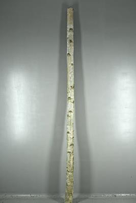 Birch Trunk 8-10cm 240cm