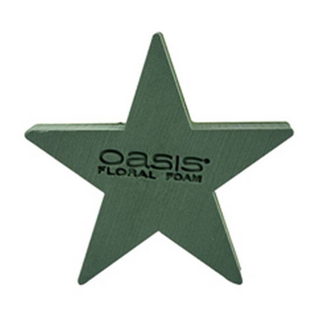 <h4>Oasis bioline ster 25x25x4,5 cm</h4>