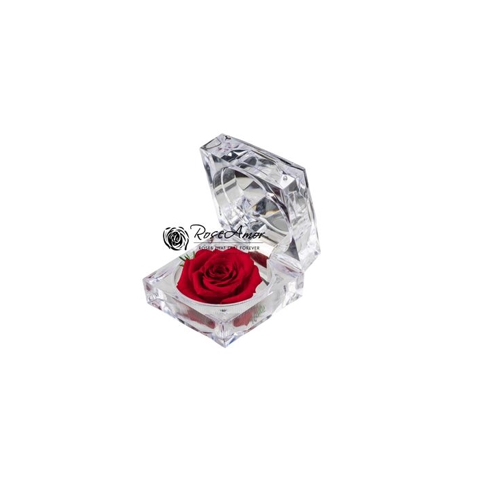 <h4>Giftbox Jewel Red02</h4>