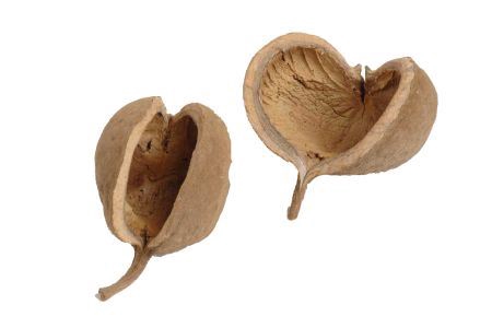 Buddha Nuts