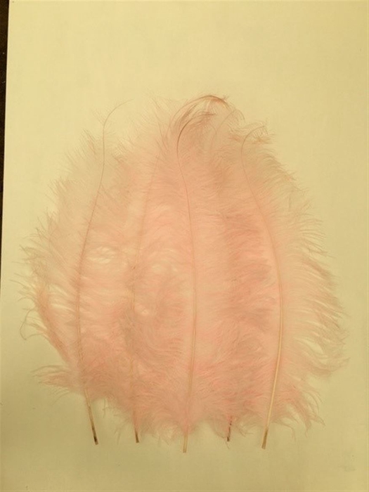 Basic Ostrich Feathers 55cm 5 Pcs Light Pink