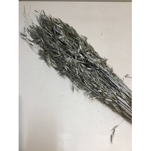 DRIED FLOWERS - AVENA HAVER SILVER 100GR