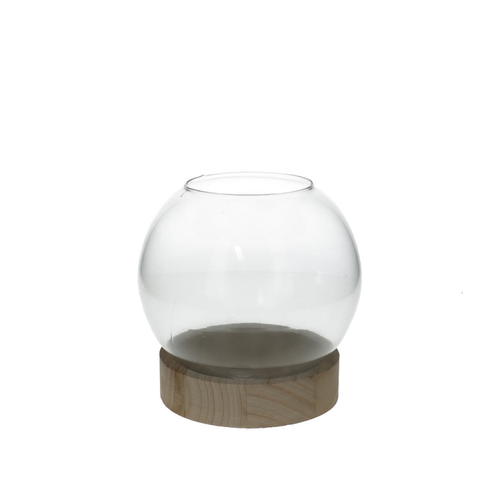<h4>Glass Fishbowl+foot wood d13*16cm</h4>