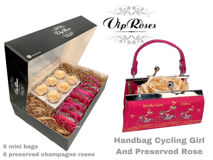 <h4>HANDBAG CYCLING GIRL AND PRESERVED CHAMPAGNE ROSE</h4>