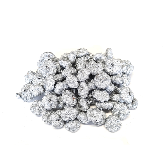 <h4>Paras peepal (500gr in poly) Silver</h4>