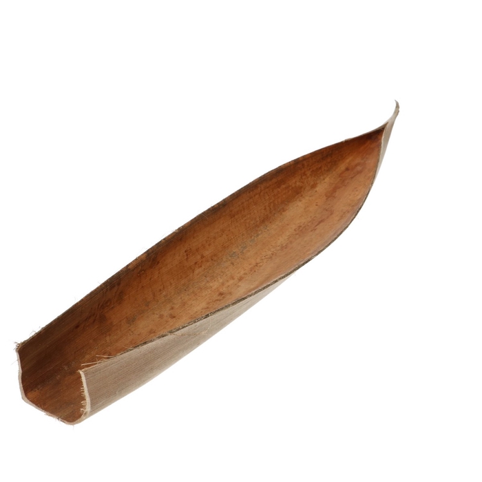 <h4>Dried articles Coco boat 60-80cm</h4>