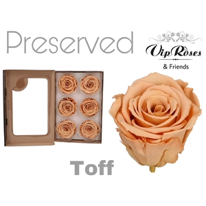 Preserved rosa toff