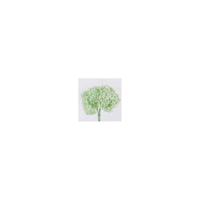<h4>Hydrangea / Hortensia Mint Green HRT/0160</h4>