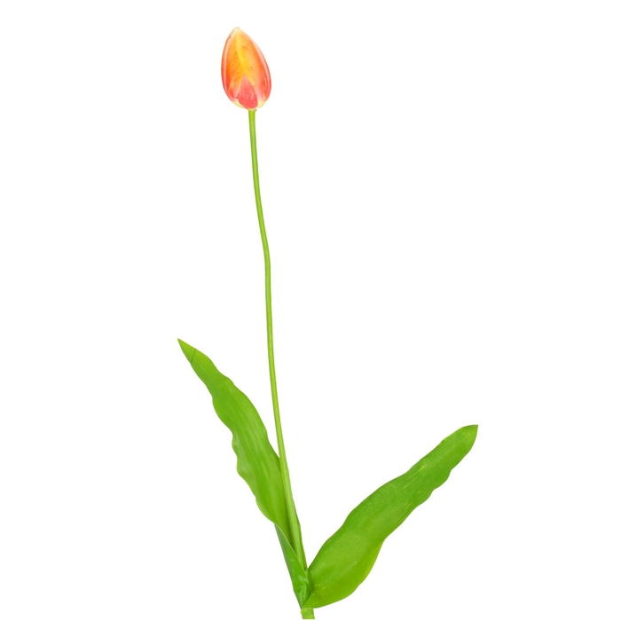 <h4>Artificial flowers Tulip 66cm</h4>