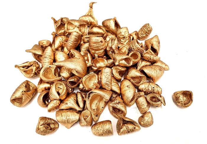 Lansunia petal 500gr in poly antique gold