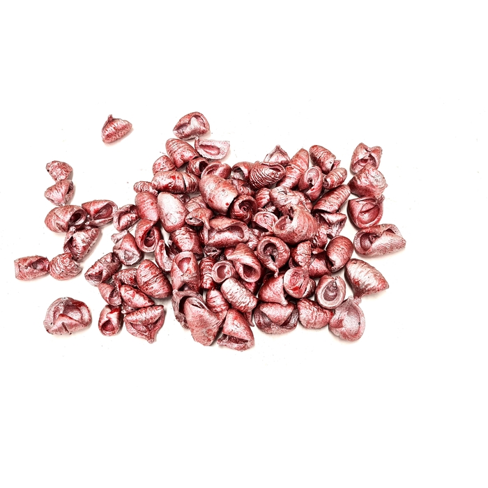 <h4>Lansunia petal 500gr in poly Metallic Antique Red</h4>