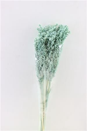<h4>Dried Sorghum 6pc Turquoise Bunch</h4>