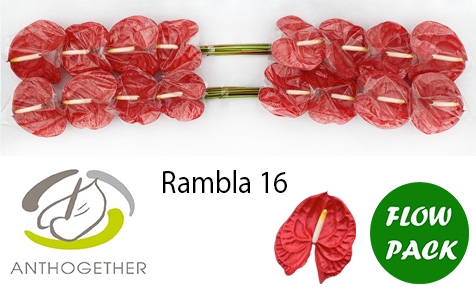 <h4>ANTH A RAMBLA 16 Flow Pack</h4>