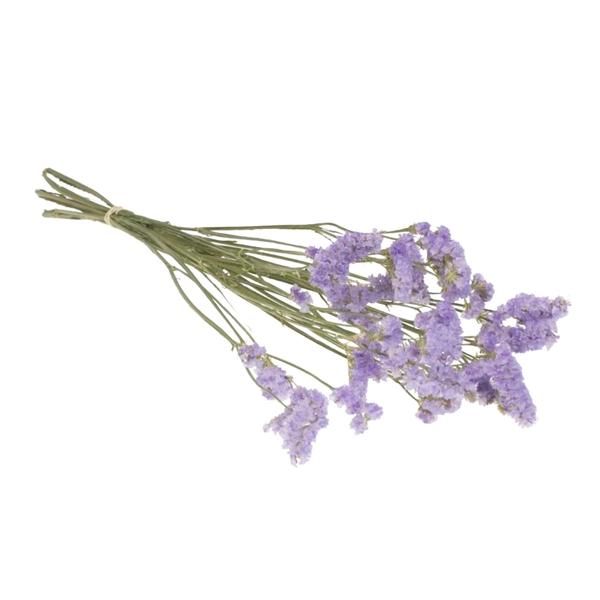 Droogbloemen - Statice Lilac