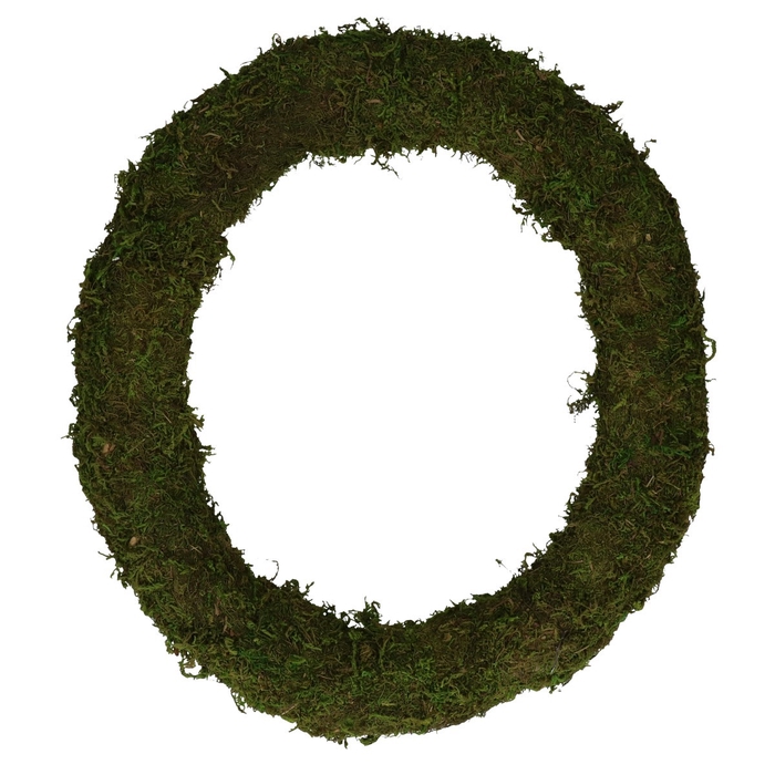 <h4>Wreath d40cm moss</h4>