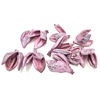Sororoca penca flower 10pcs in poly frosted pink