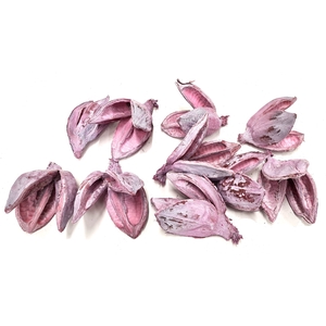 Sororoca penca flower 10pcs in poly frosted pink