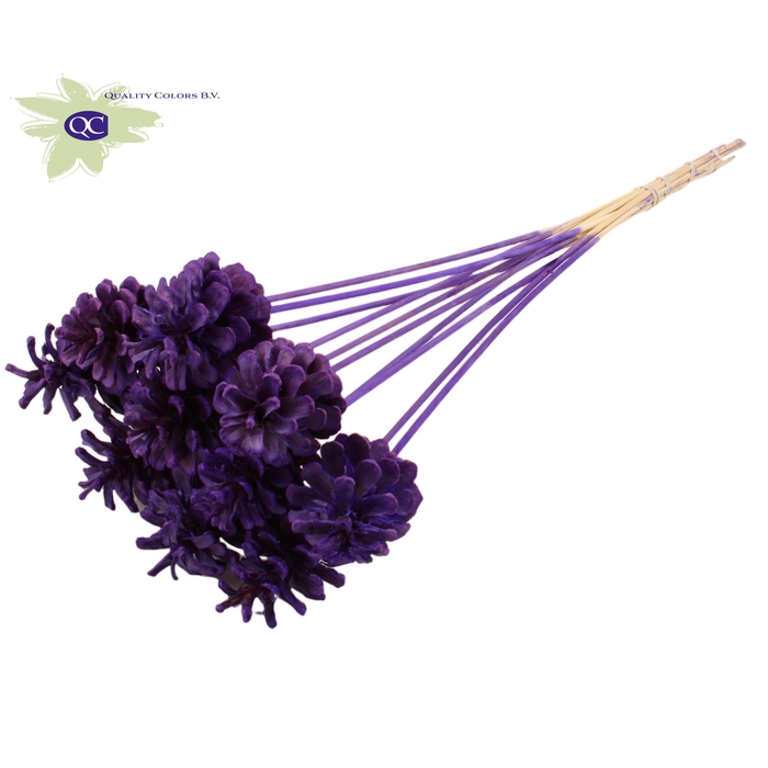 <h4>Pine cone 5-7cm on stem Intense Purple</h4>