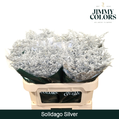 <h4>Solidago L70 Mtlc. zilver</h4>