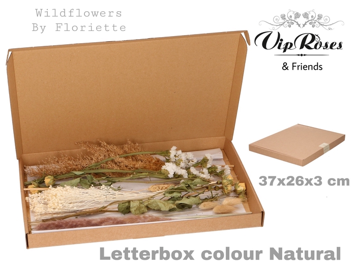 <h4>Dried letterbox natural</h4>