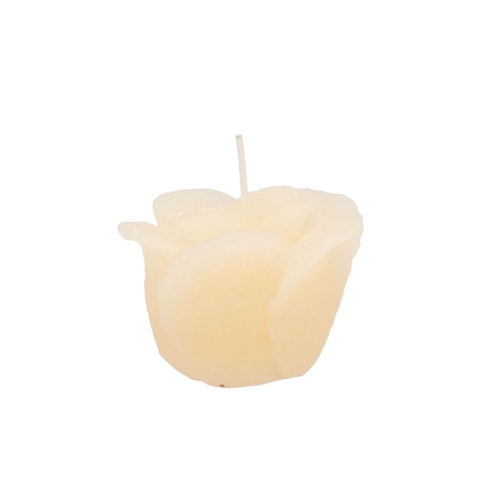 <h4>Candle Roos Ivory 8x7cm</h4>