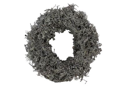 <h4>Wreath Bonsai Larix Moss Thick D30</h4>