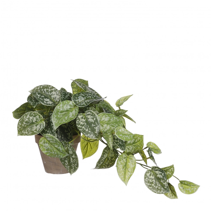 Artificial plants Pot Epipremnum d11/17*44cm