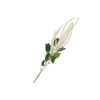 Silk Amaranthus White 132cm