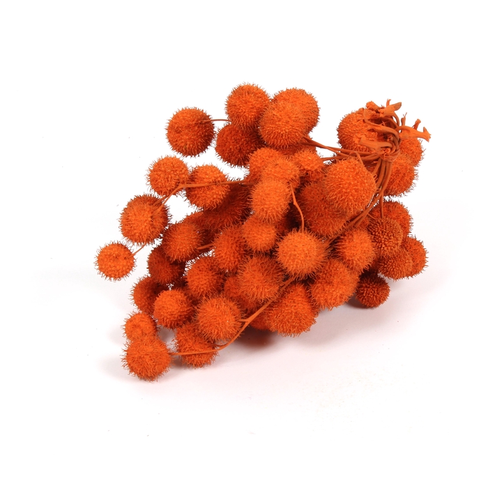 <h4>Small ball per bunch in poly Orange</h4>