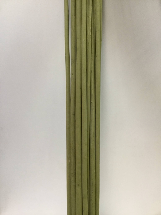 JUTE STICK GREEN 100cm 25pcs
